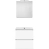 Meuble forme 60cm solo 2 tiroirs porcelaine +armoire de toilette coloris blanc