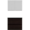 Meuble Alano 80 cm solo 2 tiroirs porcelaine coloris chêne graphite mat + armoire de toilette coloris chêne graphite