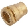 General Fittings raccord droit pour HDPE 32mm-4/4"F