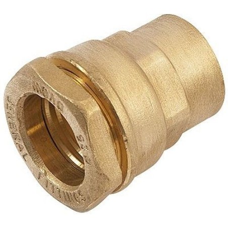 General Fittings raccord droit pour HDPE 25mm-3/4"F