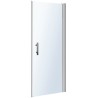 Porte pivotante MISTRAL niche:94-100/angle:96-102 h190 argent-clair