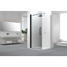 Porte pivotante niche SWING 97-101 h 200 chrome-clair