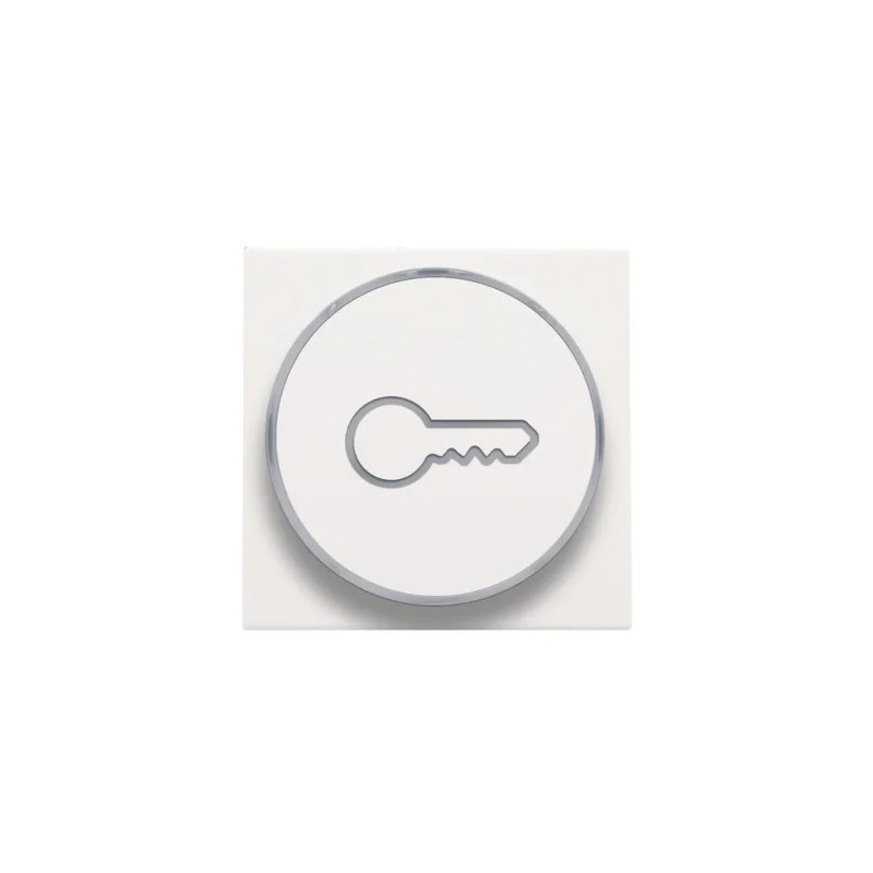 Niko Manette avec anneau translucide et symbole clef pour poussoir 6A, blanc steel