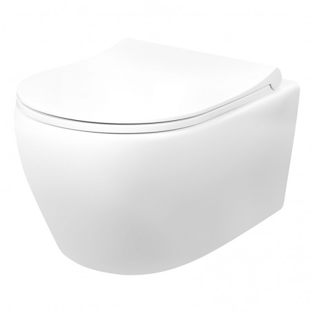 Aloni rimoff wc suspendu blanc avec douchette inox