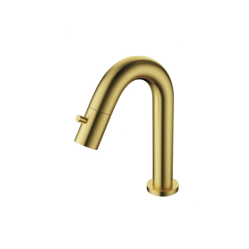 Aloni robinet eau froide or brossé 1/2