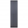 Belrad radiateur verticale ovale noir mat  double 1800x590-10 elements - 2050w