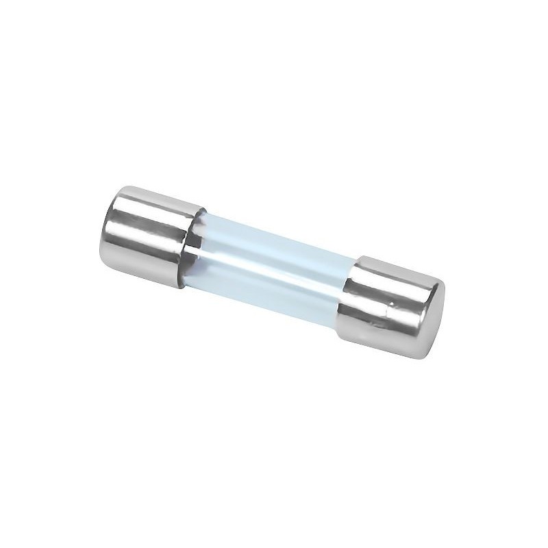 Remeha fusible verre 1,6AT (5 pièces)
