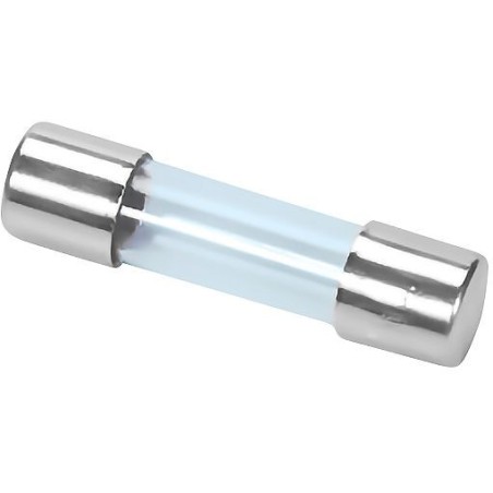 Remeha fusible verre 1,6AT (5 pièces)