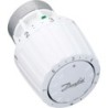 Danfoss élément thermostatique de service ra/v grand