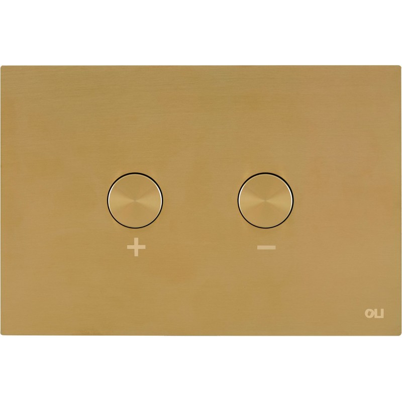 Oli plaque de commande 2 touches Blink pneumatique brushed gold