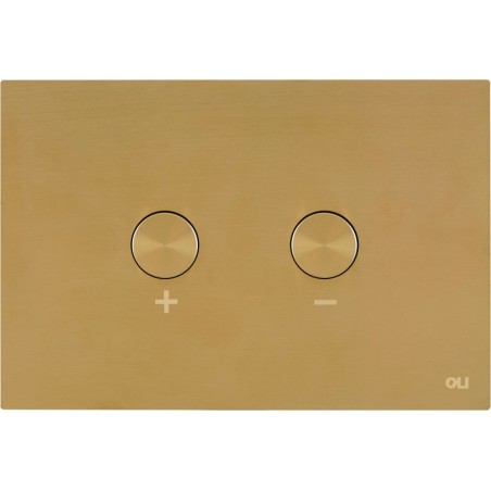 Oli plaque de commande 2 touches Blink pneumatique brushed gold
