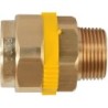 Paktermo PLT gaz manchon filete DN15-1/2"M