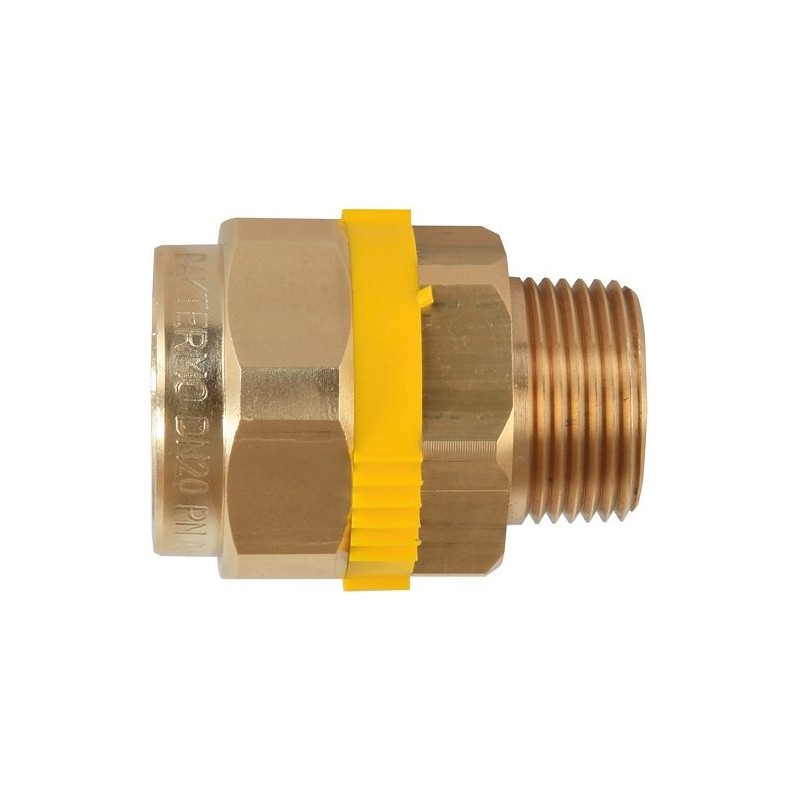 Paktermo PLT gaz manchon filete DN20-3/4"M