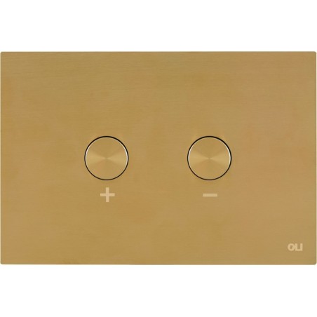 Oli plaque de commande 2-touches blink pneumatique brushed gold + set de transformation