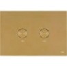 Oli plaque de commande 2-touches blink pneumatique brushed gold + set de transformation