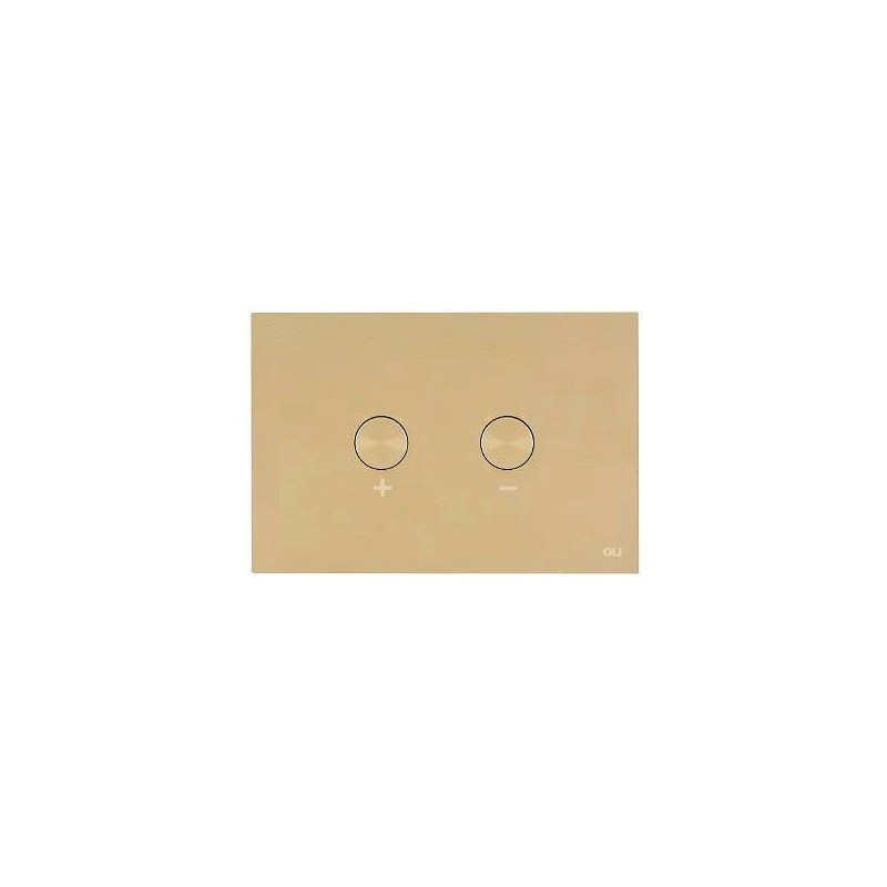 Oli plaque de commande 2 touches blink pneumatique white gold