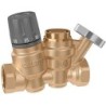 Caleffi régulation thermostatique+patron désinfection+thermomètre dn15