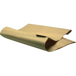 Thomas sac filtre 451 (5...