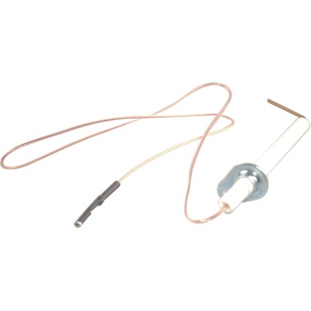 Ariston ionisation électrode + poignée sécurité