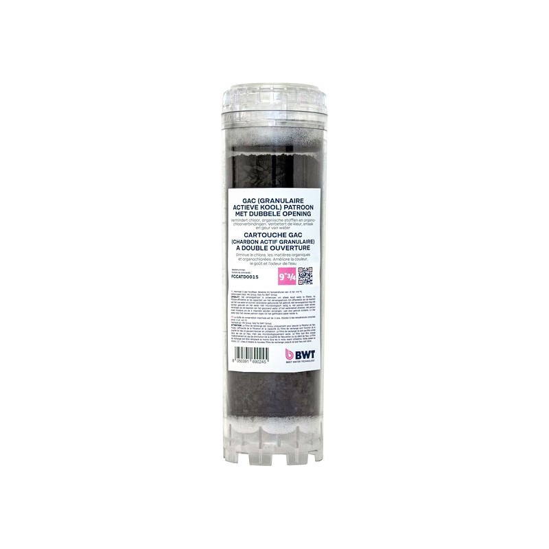 BWT cartouche 5 µm charbon actif pour filtre pluvio (-2015)