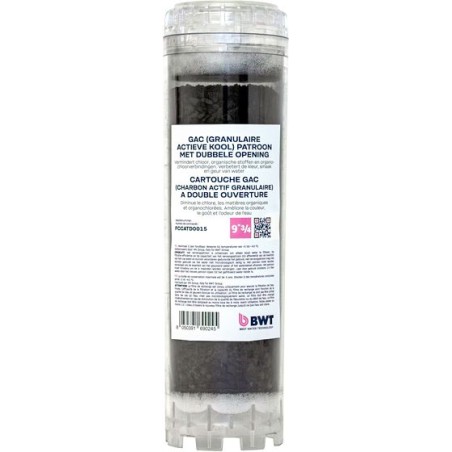 BWT cartouche 5 µm charbon actif pour filtre pluvio (-2015)