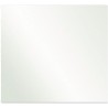 Miroir duplex 400X600X6 mm